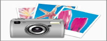 rogan_trading_website_1003003.jpg